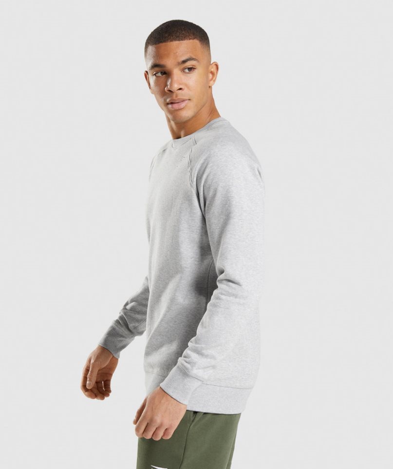 Men's Gymshark Crest Sweatshirts Light Grey | NZ 9IUZJA